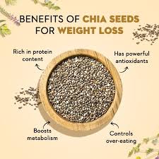 Chia Seeds – Tiny Superfood, Powerful Benefits